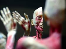 Organisator expositie Real Human Bodies loog over herkomst lijken