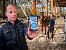 Deze dierenarts uit Wierden behandelt paarden met behulp van kunstmatige intelligentie (AI)
