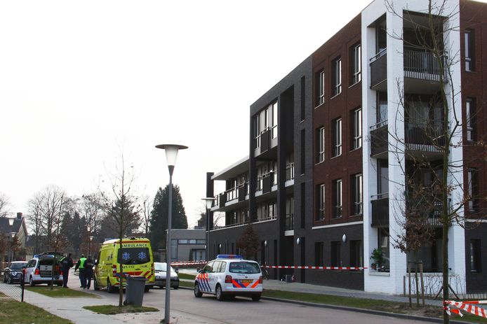 De 30-jarige Tamara Plehn werd in 2013 doodgeschoten in de portiek van haar flat aan Het Reut in Berghem.