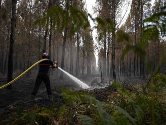 Bosbranden aan Atlantische kust van Frankrijk bijna onder controle, ook Spaanse brandweer krijgt bosbranden onder controle
