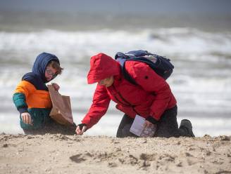 Schelpenteldag brengt duidelijke regionale verschillen aan het licht tussen schelpsoorten