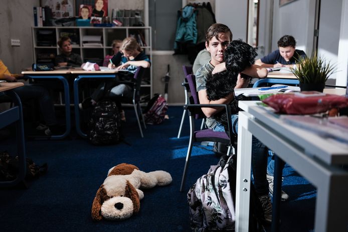 Schoolhond Teddie met Guus in de klas bij wiskunde.