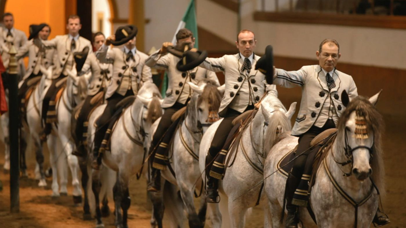 Andalusische Rijschool