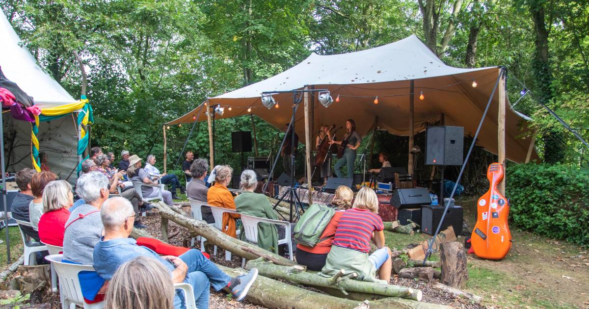 Eindeloos Eiland Festival (EEF) dit jaar in Geersdijk