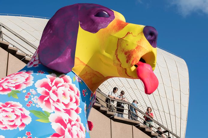 Een enorm beeld van een hond staat voor het Sydney Opera House vanwege het Chinese Nieuwjaar. Foto James D. Morgan
