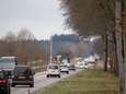 Meer zwijnen, herten en vossen aangereden op de N224, ondanks maatregelen