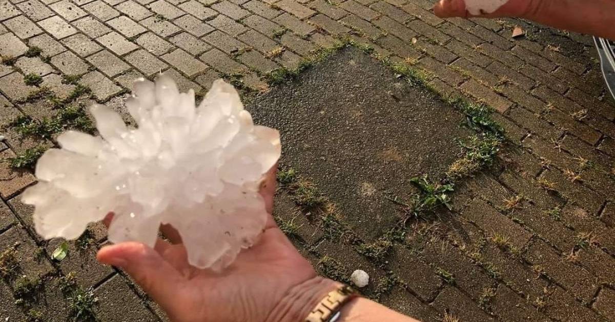 At least 110 injured and possibly ‘considerable’ damage caused by hailstorms in northeastern Italy |  Abroad
