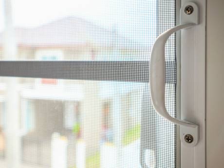 Insectenseizoen op komst: zo plaats je een hor