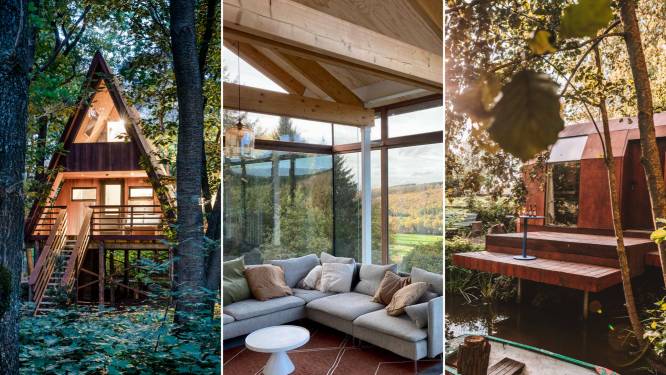 Luxueus logeren in het bos? 14 bijzondere boomhutten en huisjes. “Er is een sauna met buitendouche op het dak”