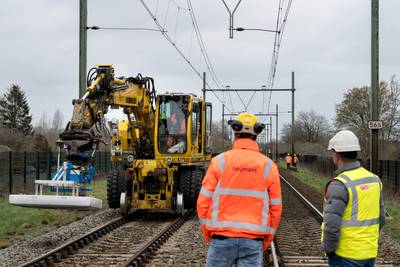 De das was bijna uitgestorven, maar doet het nu (te) goed: ‘Spuit in de kont is nu enige oplossing i