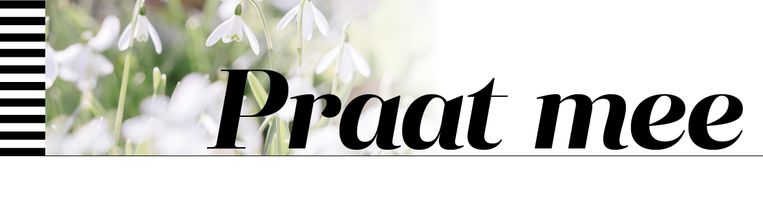 null Beeld Redactie