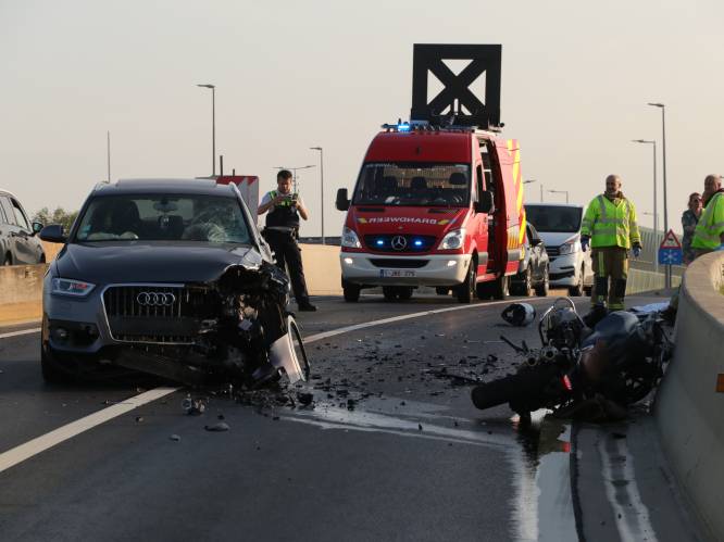 Motorrijder (40) komt om het leven bij frontale botsing op parallelweg E17 in Zwijndrecht