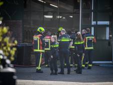 Brand in stal met honderd schapen, dieren stonden in de rook 