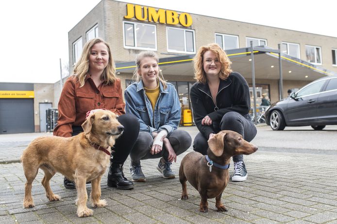 Linde Kampman (rechts) heeft samen met haar huisgenotes Nicole Schipper (midden) en Jeltje Alberts een oproepje gedaan in de buurt. Ze willen met plezier boodschappen doen en honden uitlaten.
