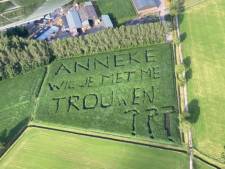Origineel: Joost vraagt zijn vriendin ten huwelijk met boodschap in maisveld