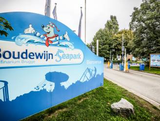 Nieuw zomerseizoen in Boudewijn Seapark in het teken van zestigste verjaardag