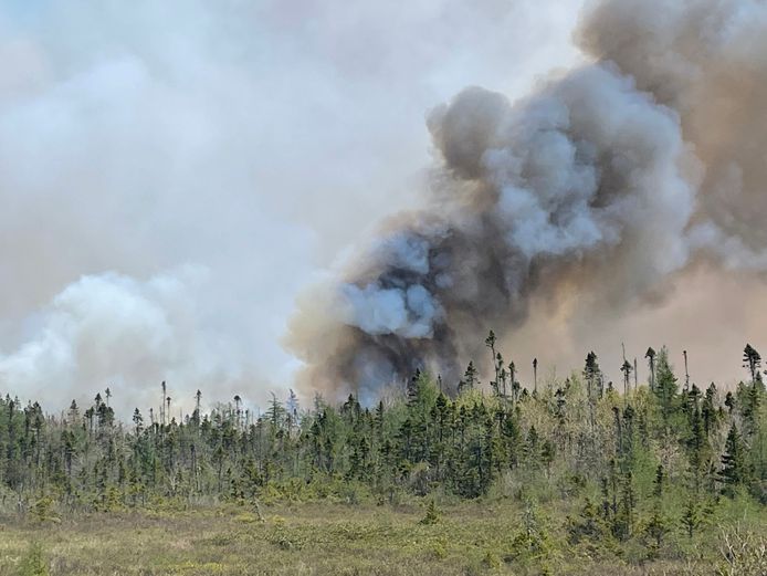 Un'immagine di un incendio vicino al lago Barrington, in Nuova Scozia.