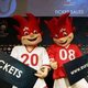 Uefa zoekt 5000 vrijwilligers voor EK 2008