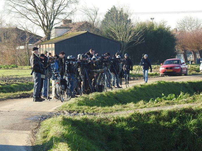 Vogelspotters willen massaal de grote trap in de polder van Oostvoorne fotograferen.