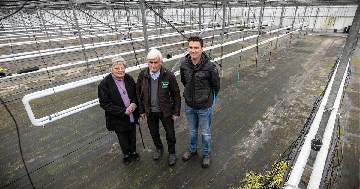 Einde van een tijdperk: kwekerij Seiger in Deurningen stopt na 40 jaar