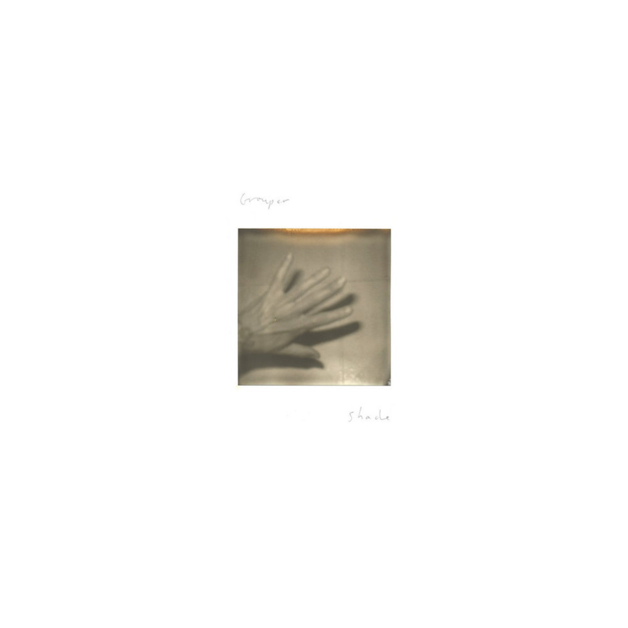 Shade Beeld Grouper