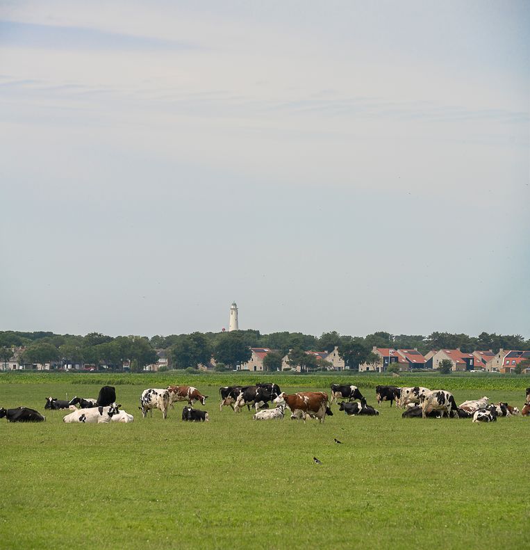 Zicht op de vuurtoren en het hoofddorp van Schiermonnikoog vanaf de Waddendijk. Beeld Harry Cock / de Volkskrant