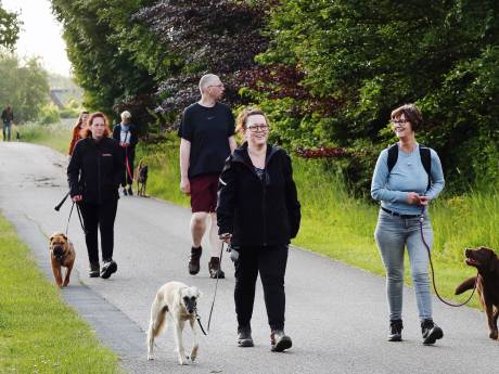 Woef! Lexie wil op pad: eerste avondvierdaagse voor honden in Etten-Leur