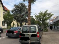 Man aangehouden met metershoge palm uit open dak