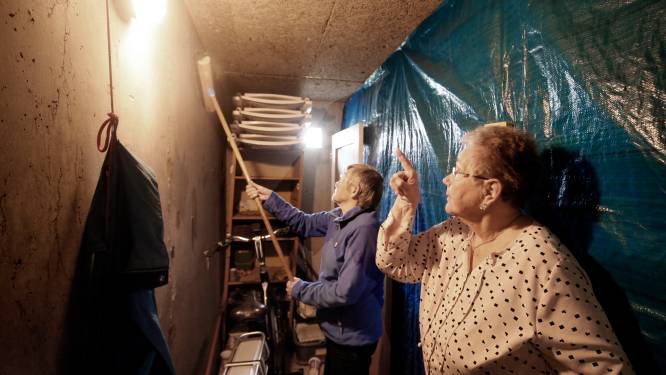 Bewoners Gorcumse flat worden gek van de ratten: ‘de fietsen, meubels, alles wordt door ze ondergepiest’