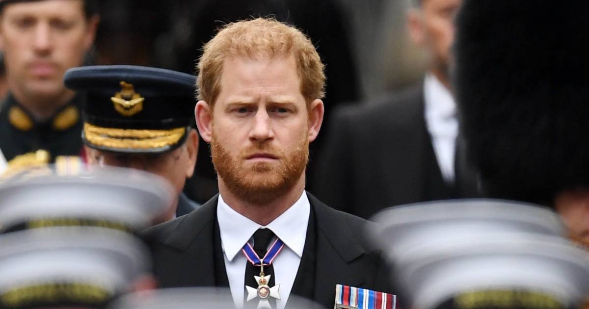 “Il principe Harry senza Meghan Markle per l’incoronazione di Carlo” |  Proprietà