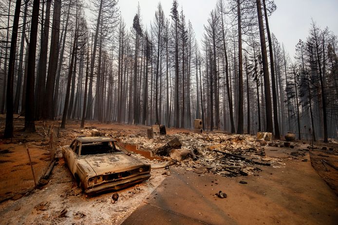 Bosbranden richten enorme schade aan door de extreme droogte, veroorzaakt door de klimaatverandering, zoals hier in Grizzly Flats in het Amerikaanse Californië.