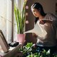 Zo krijgen je planten genoeg water terwijl jij op vakantie bent