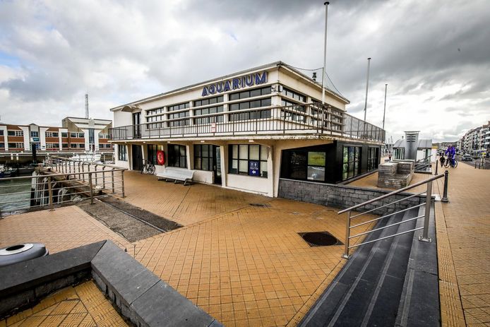 Het stadsbestuur mikte de voorbije legislatuur op een nieuw Noordzeeaquarium, maar daar is uiteindelijk niets van in huis gekomen.