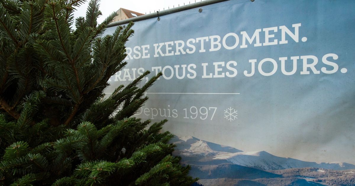 Kerstboom Versieren Inspiratie Meer Dan 50 Ideeen En Voorbeelden Mamaliefde Nl