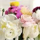 Hét geheim om je bloemen langer mooi te houden