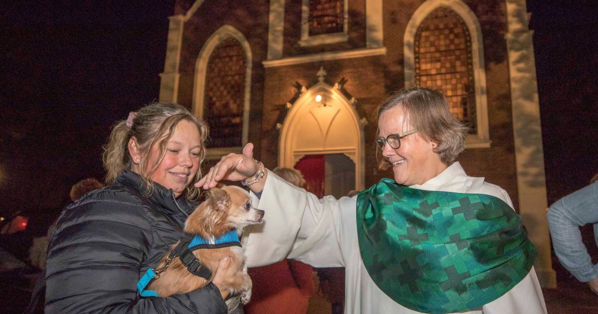 Zegening huisdieren in Ovezande in feestelijke stemming, ‘baat het niet, schaadt het niet’