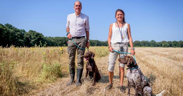 Deze honden zijn reddende engelen voor egels in Hezingen