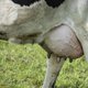 Het is lastig, maar toch beter om alle milieuproblemen tegelijk te lijf gaan
