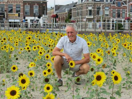 Ideeënboekje moet Delft stuk groener maken: ‘Pak die schop en zoek elkaar op’