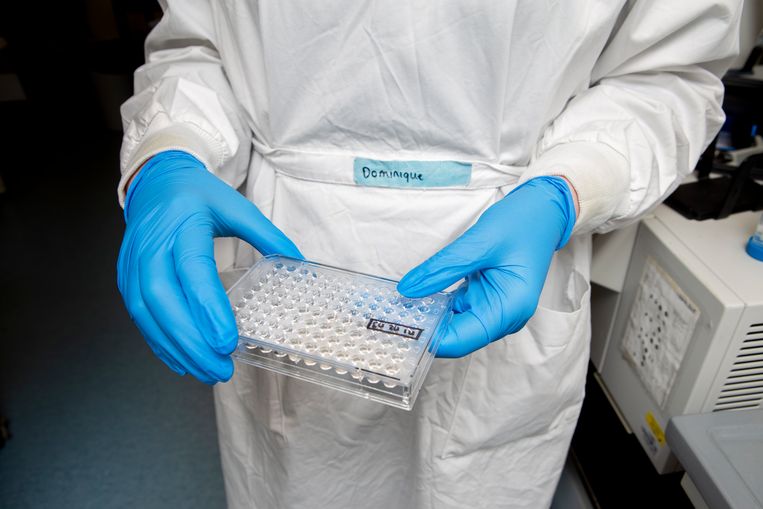 In een plastic plaat met kuiltjes erin wordt het ­serum met zijn antistoffen in aan­raking gebracht met de uitsteekseleiwitten van het corona­virus. Beeld Pauline Niks