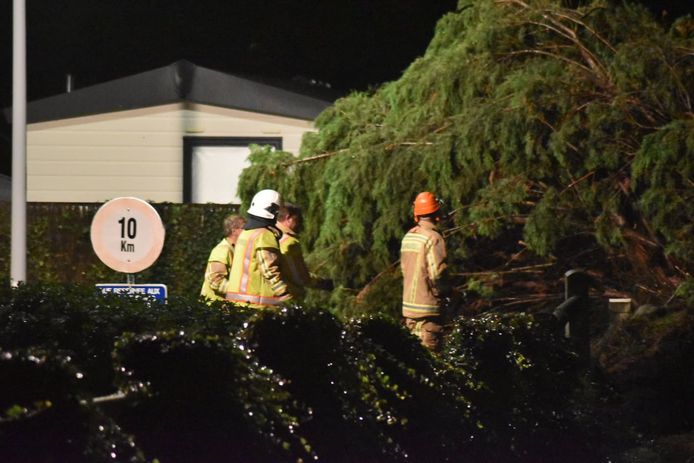 De brandweer zaagt de boom in stukken