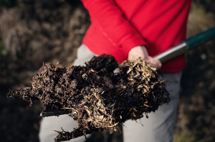 Используя тонкий слой компоста, вы стимулируете жизнь почвы.