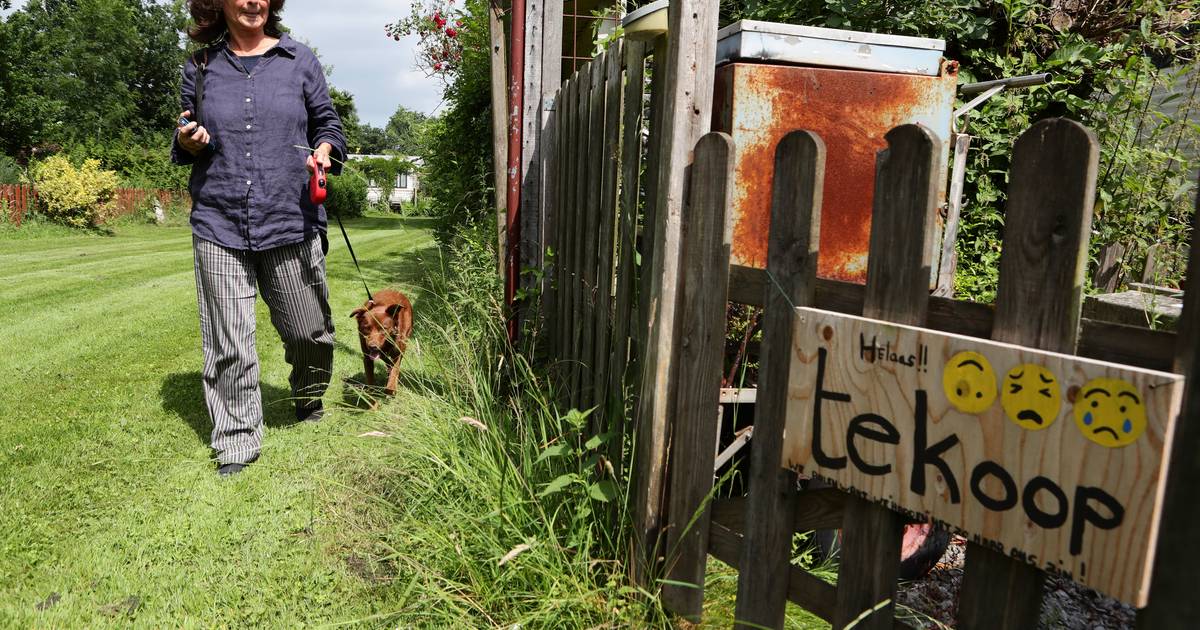 Laatste zomer op recreatiepark De Visotter: ‘De stilte, natuur en die gekke Vlaamse gaai ga ik misse