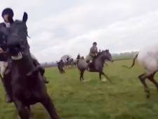 Un défenseur des animaux grièvement blessé lors d'une partie de chasse à courre en Angleterre