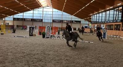 Paard steigert en verliest evenwicht: ruitertje (7) overleden
