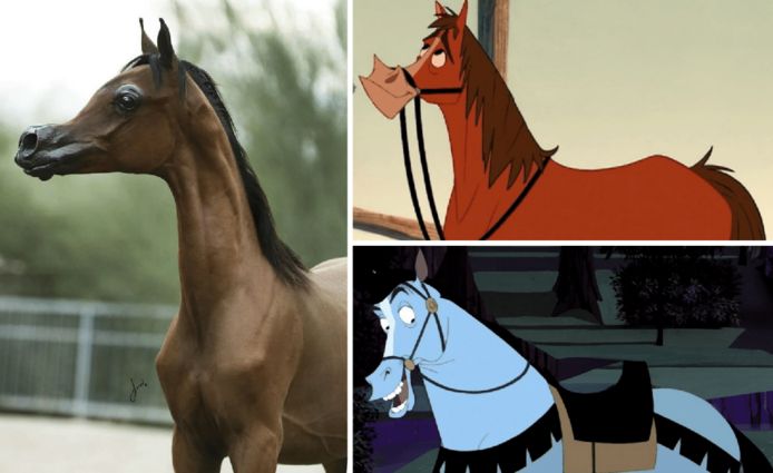 Kruik Rand gevaarlijk Disney genoeg voor u? Experts trekken aan alarmbel rond "afschuwelijke"  fokpraktijken bij paarden | Dieren | hln.be