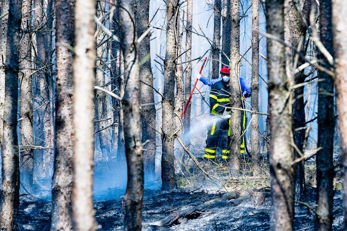 Natuurbrand woedt bij landgoed De Utrecht in Esbeek