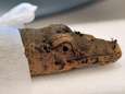 Krokodillenmummies verbazen ook archeologen en Belgen mogen ze onderzoeken: “Een van de mooiste vondsten die ik ooit zag”