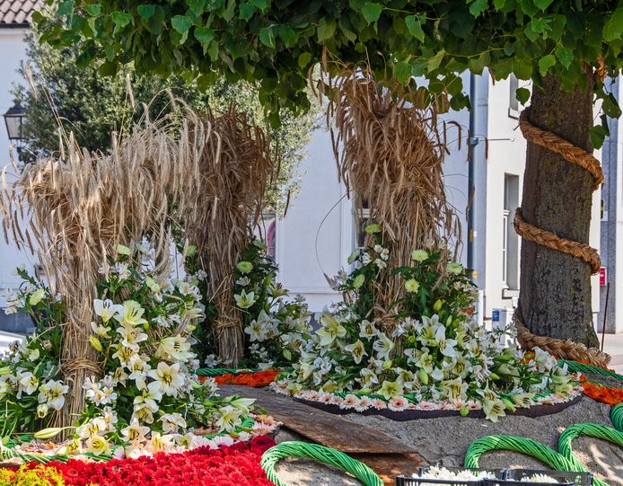 Aalst: Het bloementapijt aan de kerk in Moorsel.