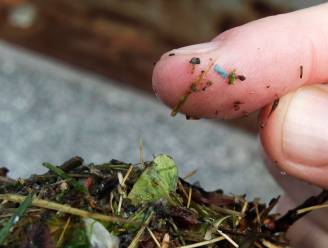 Nederlandse onderzoekers vinden microplastics in menselijk bloed: “Een doorbraak”